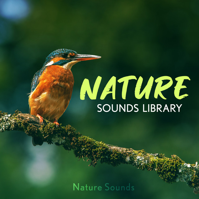 Nature Sounds Library - Album by Nature Sounds | Spotify