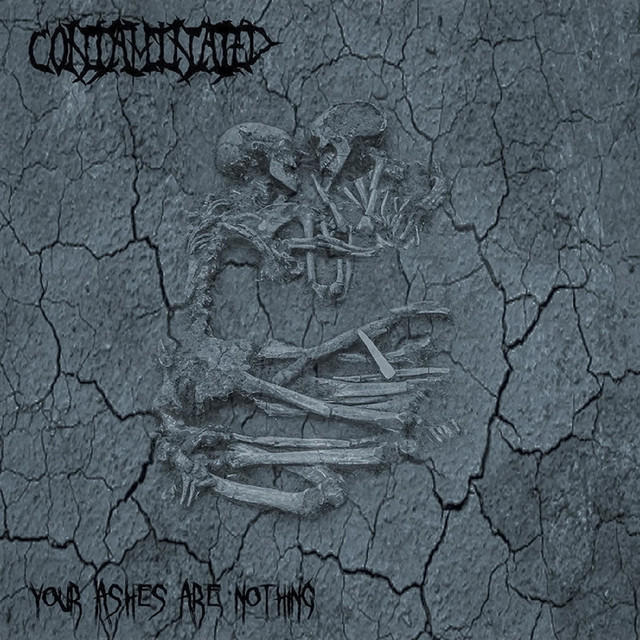 Your Ashes Are Nothing cover art