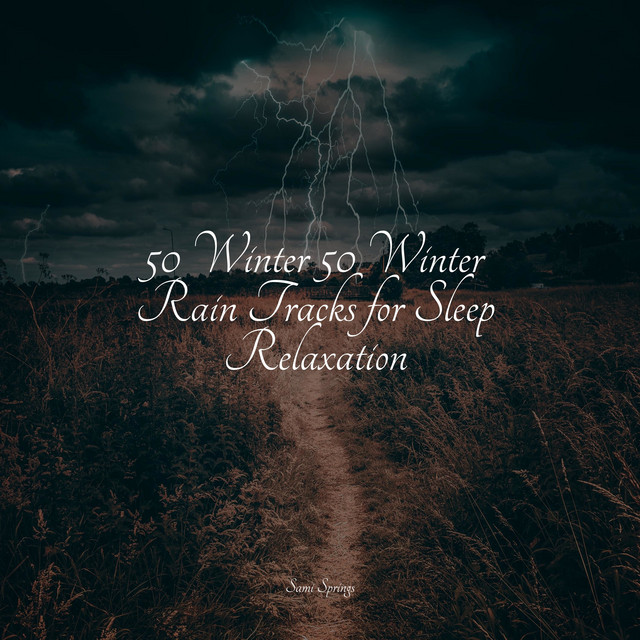 50 Winter 50 Winter Rain Tracks for Sleep Relaxation - Album by Rain ...