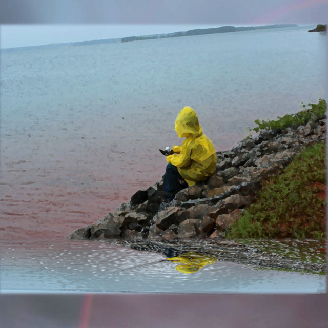 Rain: Rain Showers, Driving in the Rain, Thunder, Hiding Under a Tree cover art