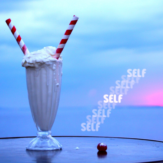 self cover art