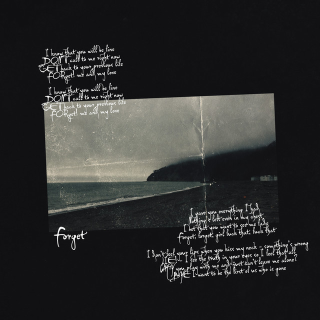 Forget! cover art