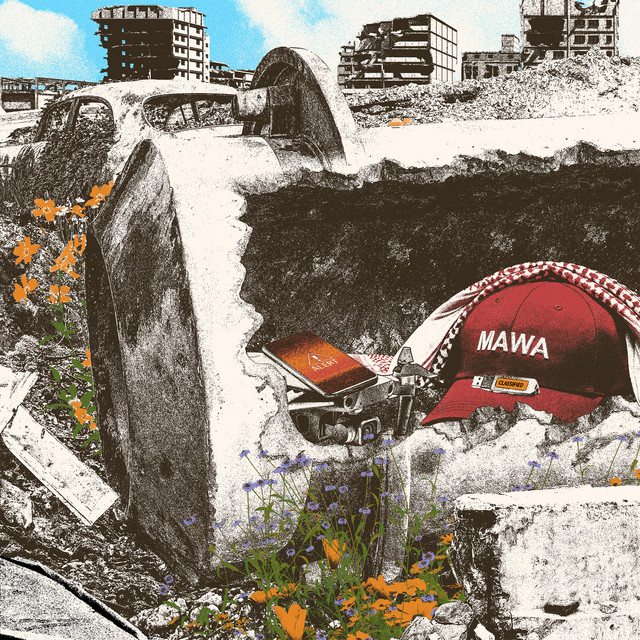 Animalysis cover art