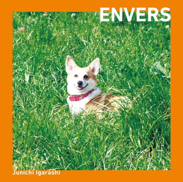 アンバース cover art