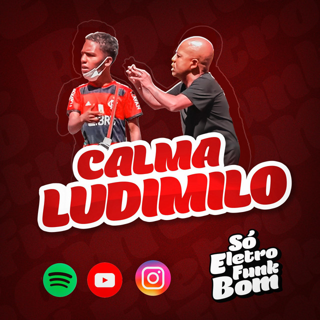 MONTAGEM LUDIMILO 1.0