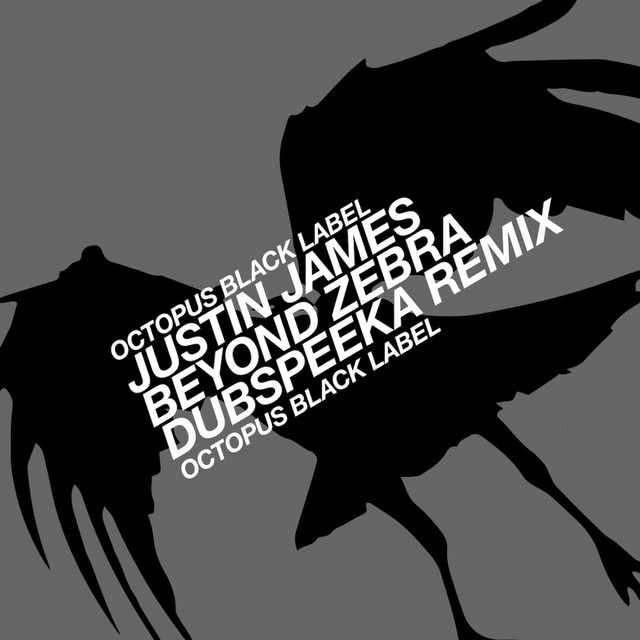 Beyond Zebra cover art