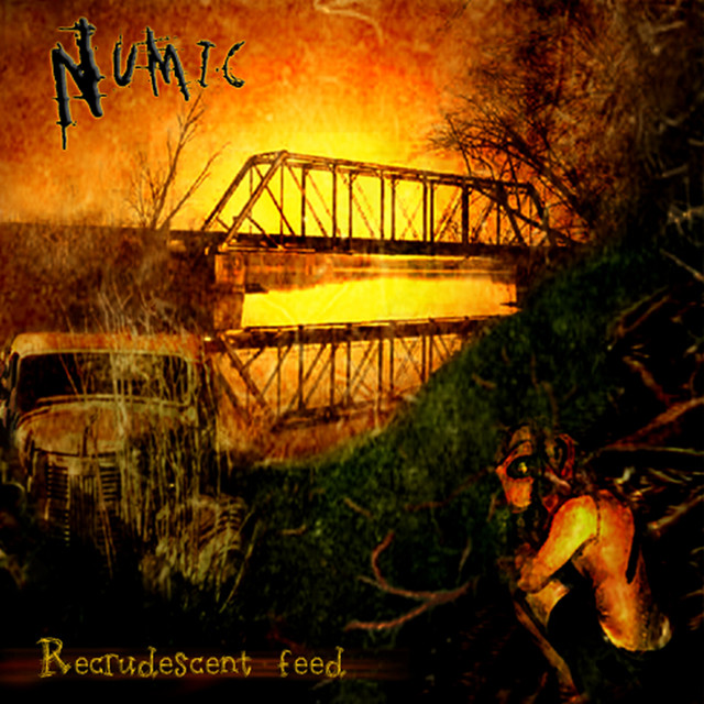 Recrudescent Feed cover art