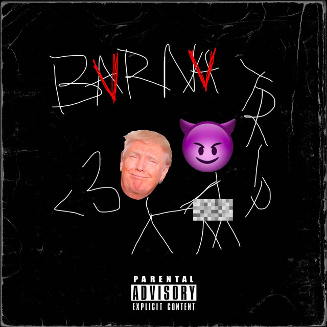 BVRNV TRIP cover art
