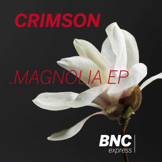Magnolia EP cover art