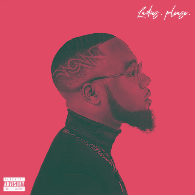 Ladies Please cover art