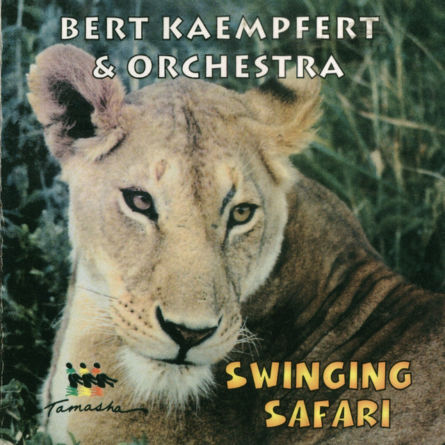 Afrikaan Beat