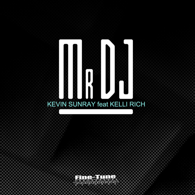 Mr DJ (Feat. Kelli Rich) cover