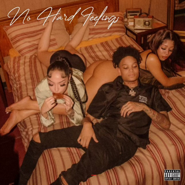 No Hard Feelings cover art