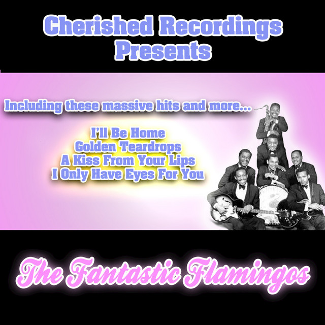 The Fantastic Flamingos cover art
