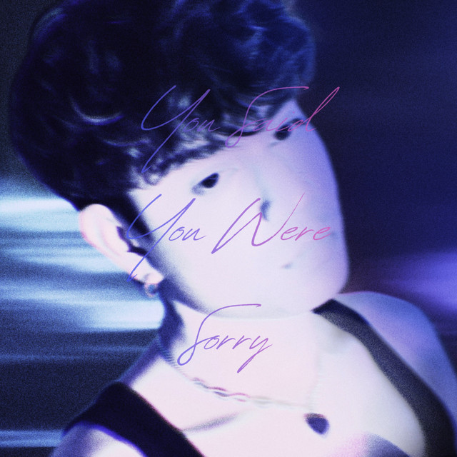 You Said You Were Sorry cover