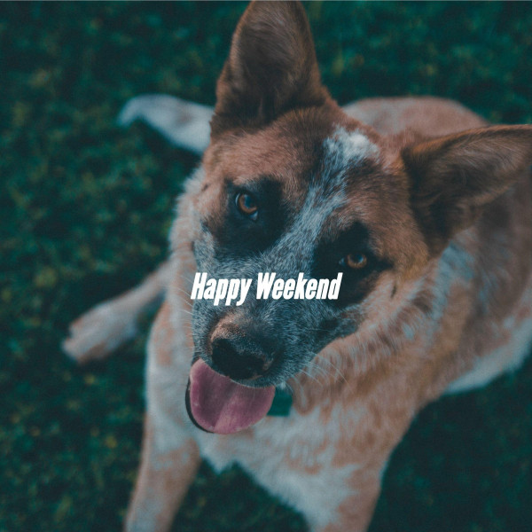 Happy Weekend cover art