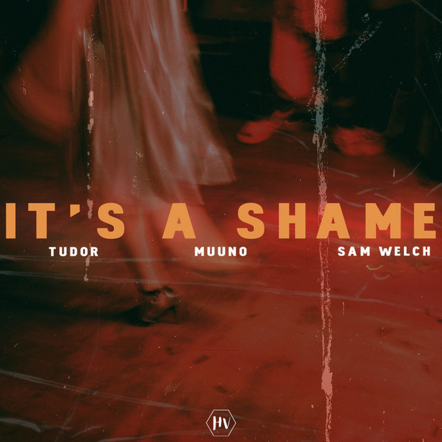 It's a Shame album image