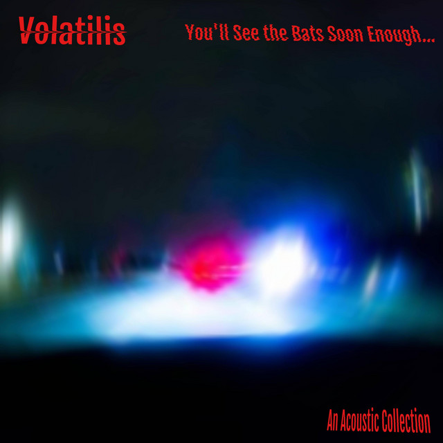 You'll See the Bats Soon Enough... An Acoustic Collection cover art