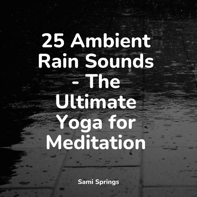 25 Ambient Rain Sounds - The Ultimate Yoga for Meditation - Album by ...