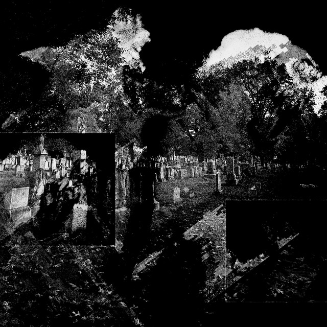 ANIMAL cover art