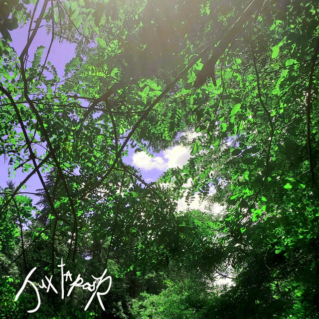 Saccharine Olive Soundboard cover art