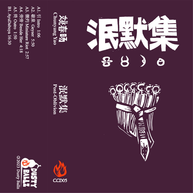 Chunyang Yao