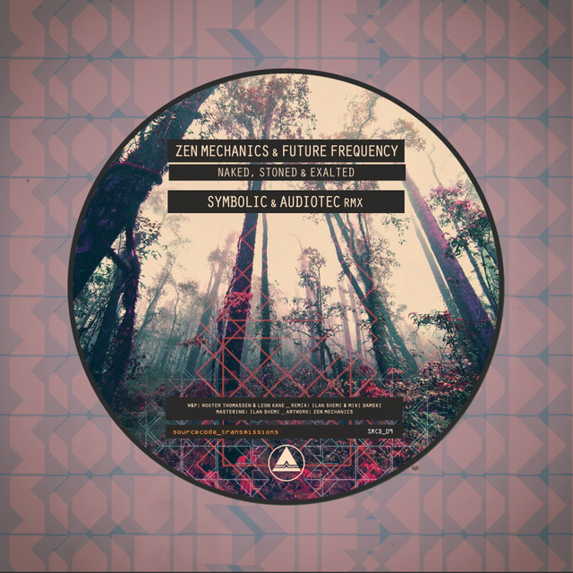 Naked, Stoned & Exalted - Symbolic & Audiotec Remix album art