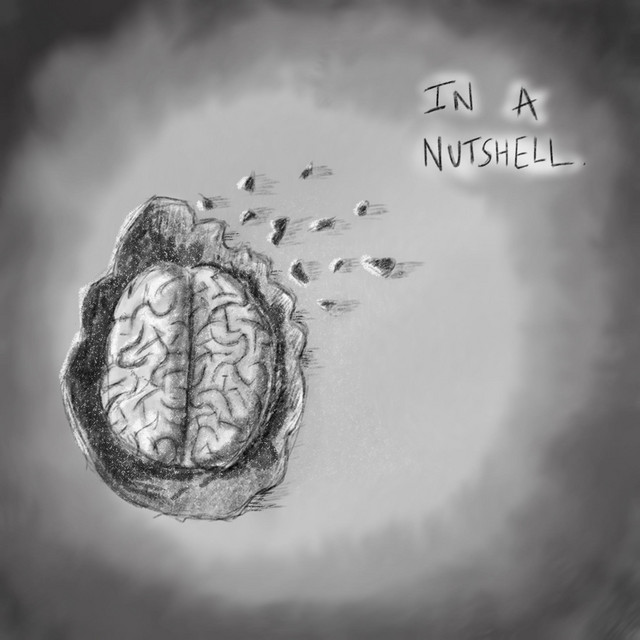 In A Nutshell cover art