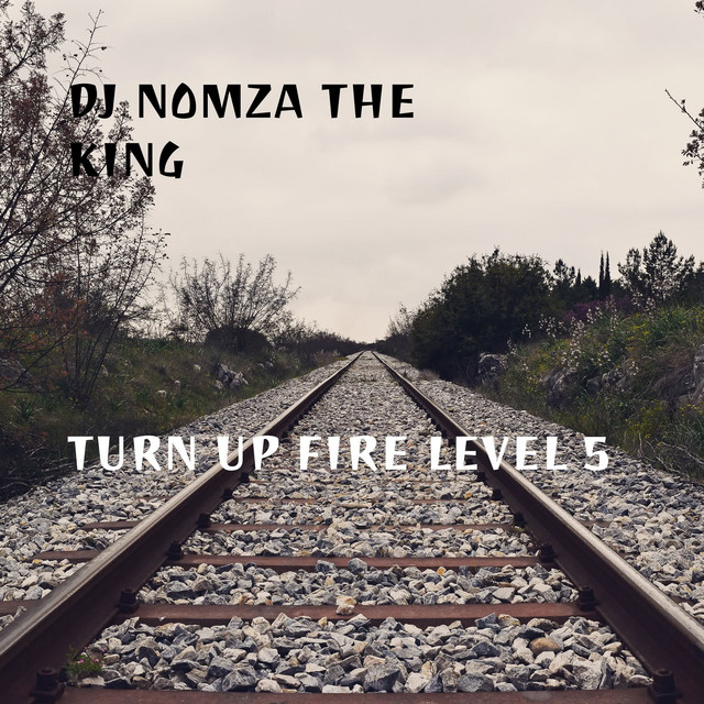 Turn Up Fire Level 5 cover art