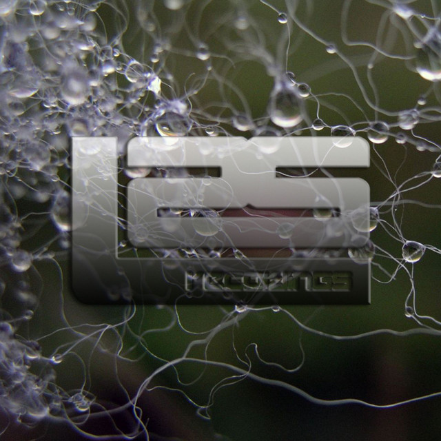 Wet cover art