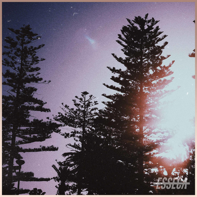 Dulo cover art