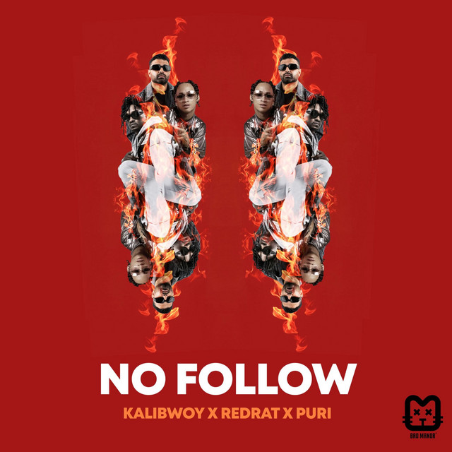 No Follow album image