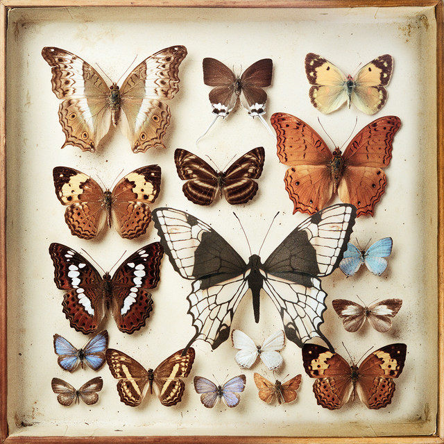 Emilíana Torrini - Rarities