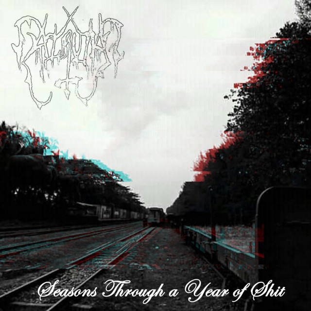 Seasons Through a Year of Shit cover art