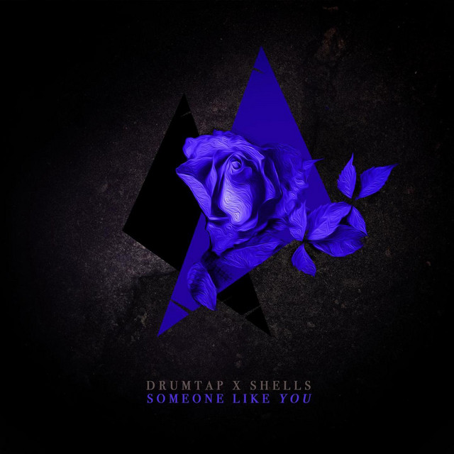 Someone Like You cover art