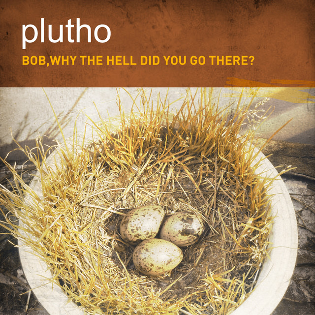 Bob Why the Hell Did You Go There cover art