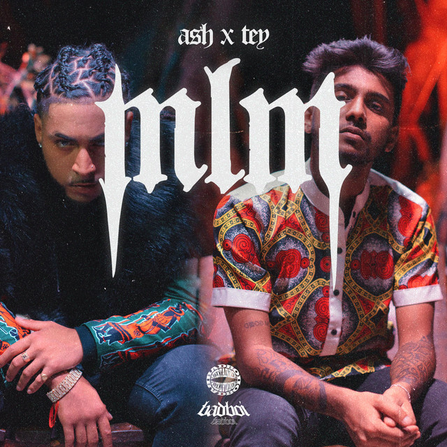 MLM cover art