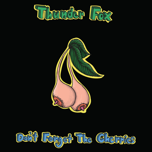 Don't Forget the Cherries cover