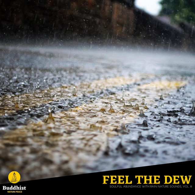 Feel the Dew - Soulful Abundance with Rain Nature Sounds, Vol. 8 ...