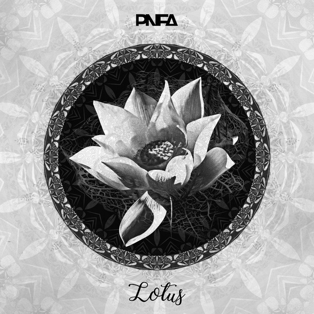 Lotus cover art