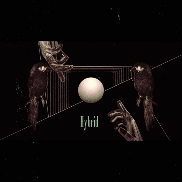 Hybrid cover art