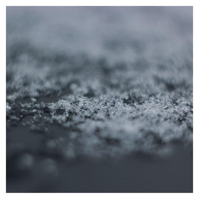 When winter fades