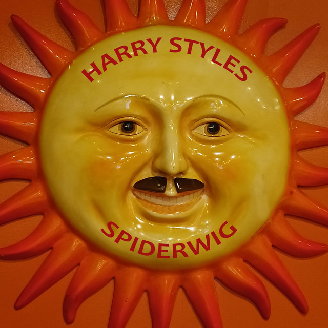 Album cover for Harry Styles by SPIDERWIG