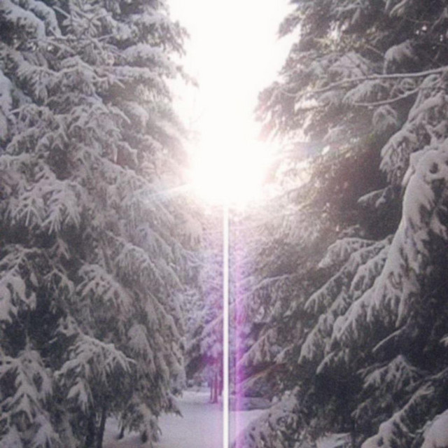 melting cover art