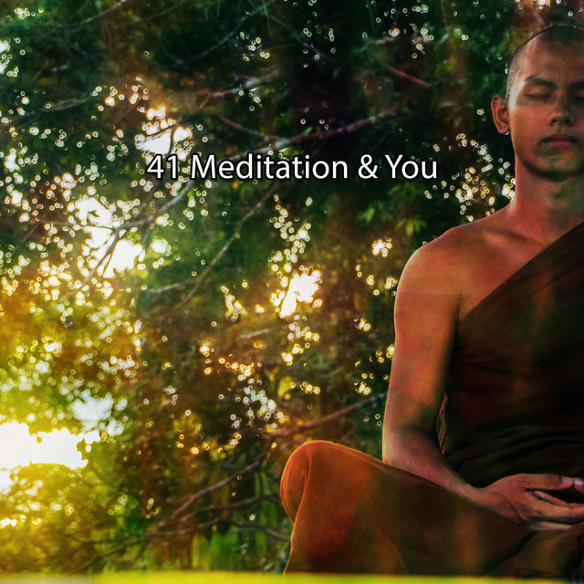 !!!! 41 Meditation & You !!!! cover art