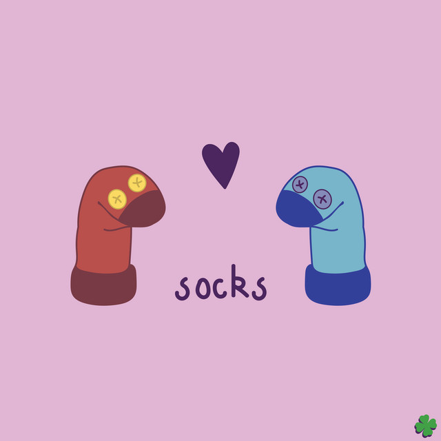socks cover art
