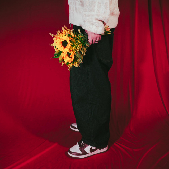 Break My Heart album image