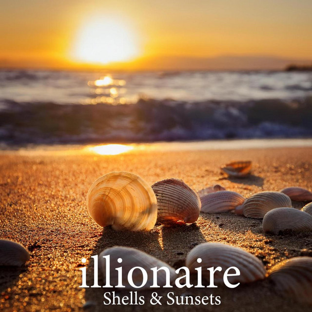 Shells & Sunsets
