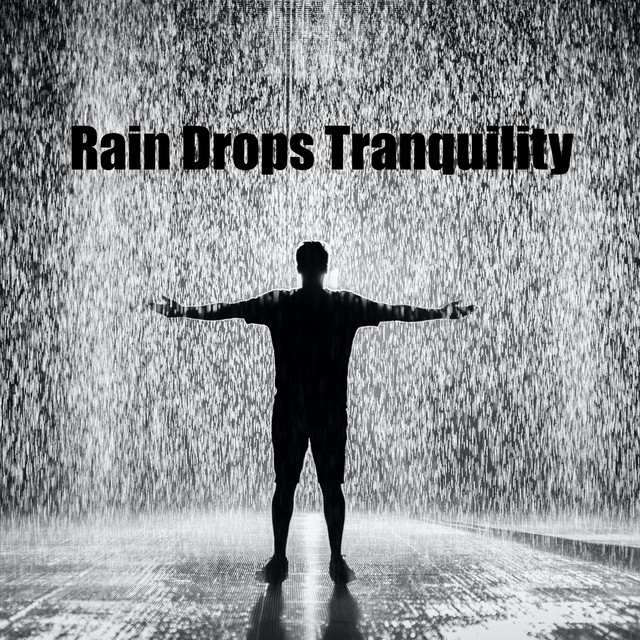 Rain Drops Tranquility by Rainy Mood