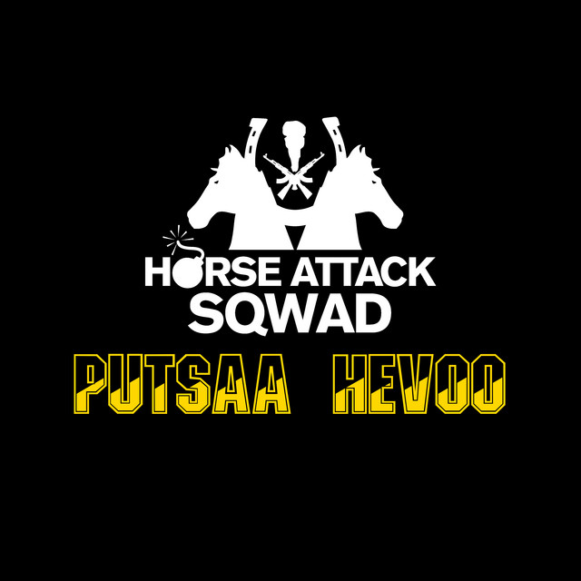 Putsaa hevoo